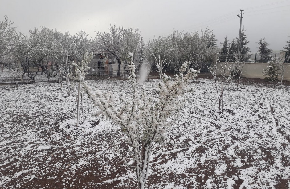 ZİRAİ DONA DİKKAT!